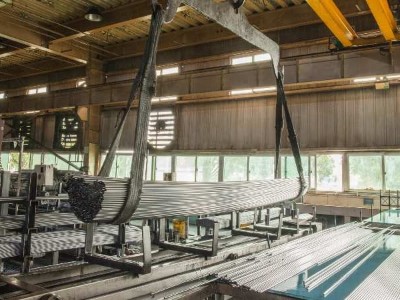 91免费版下载污中的化學元素作用